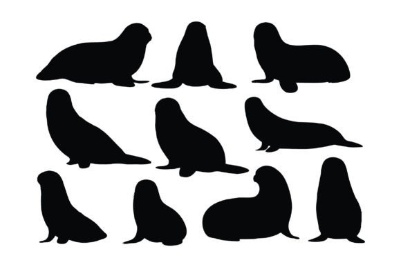 Download Small Sea Lion Silhouette Set Vector - Silhouette Collection